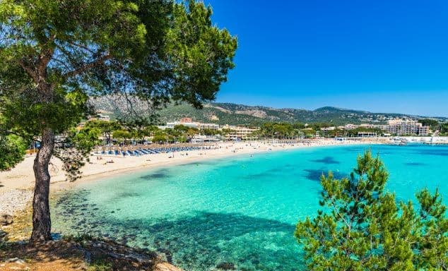 Panoramic view of the golden snady beach in Palma Nova