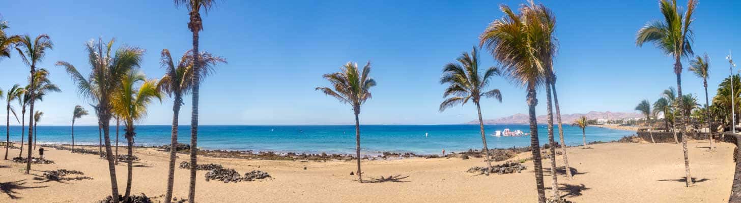 Palm trees on the golden sands of a beach in Puerto del Carmen