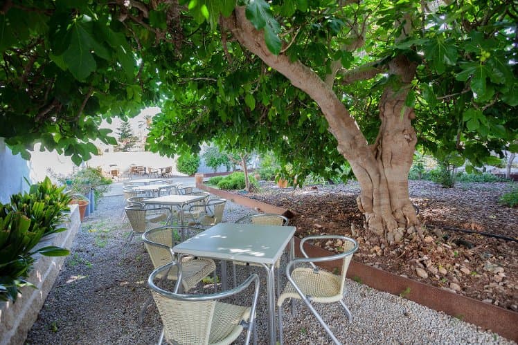 Petit Garden Hotel by Flacalco, Majorca