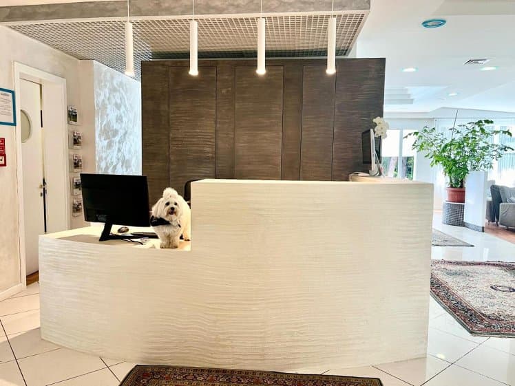 Hotel Alemagna, Venice