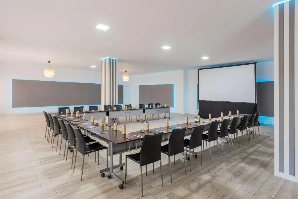 Conferences, Hotel Madrid Chamartín Affiliated by Meliá, Madrid