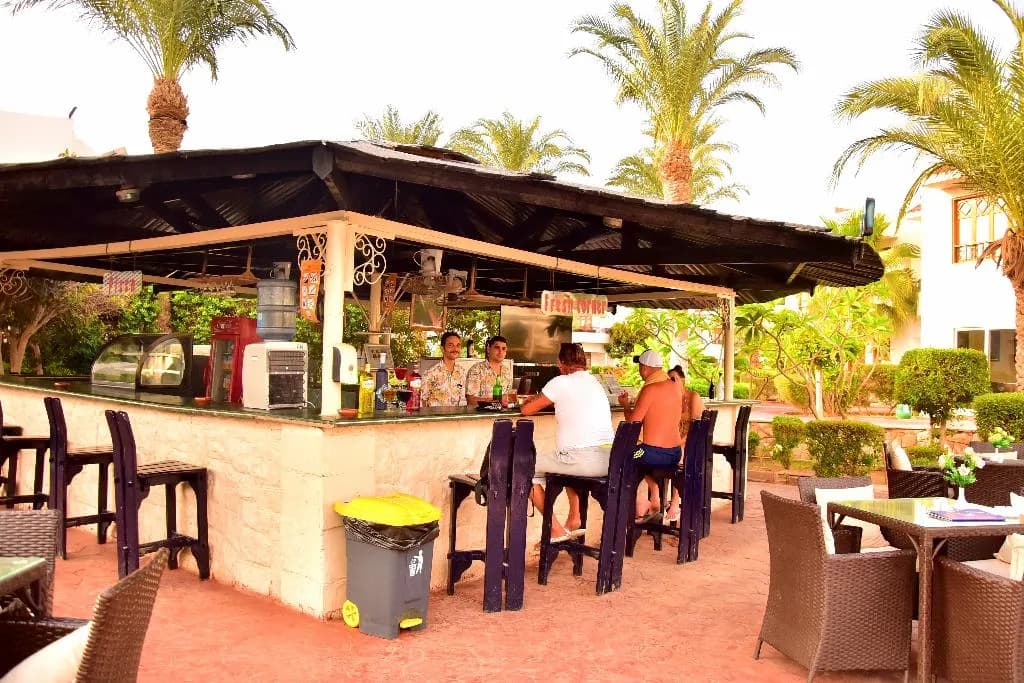 Bar, Dive Inn Resort, Red Sea Riviera