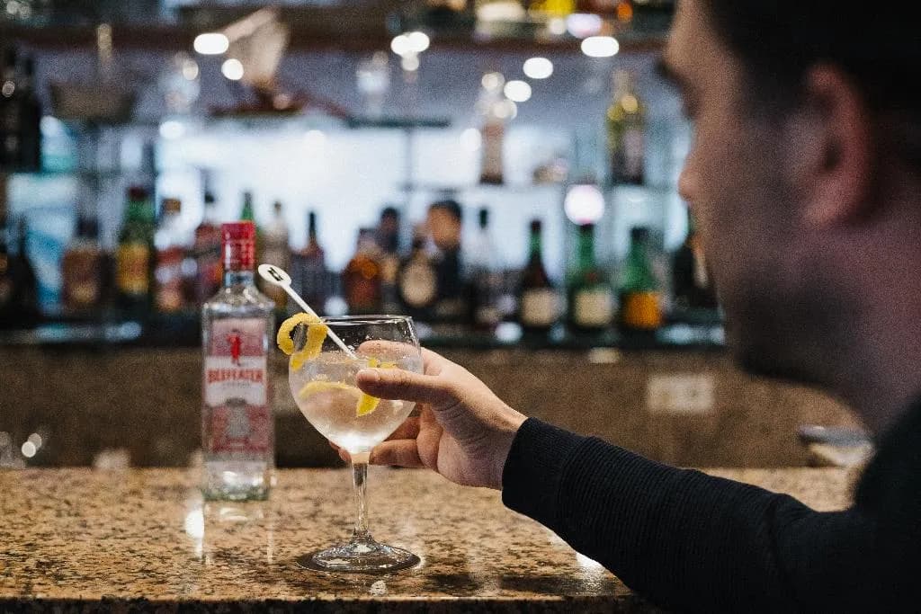 Bar, Premium Porto Maia, Porto