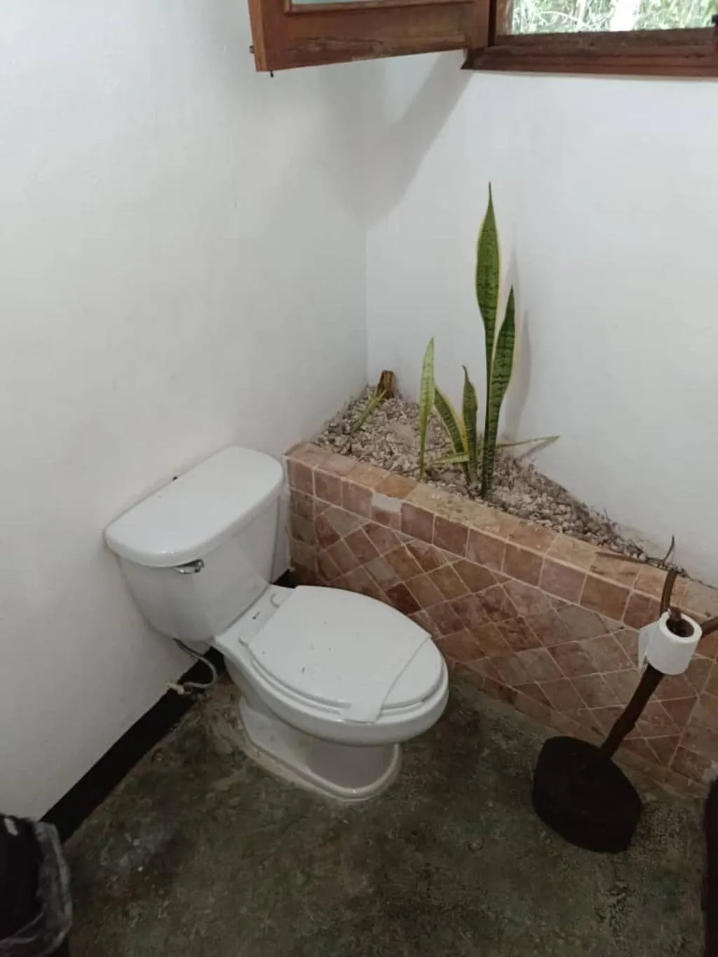 BUNGALOW STANDARD Room, Jolie Jungle, Cancun Area