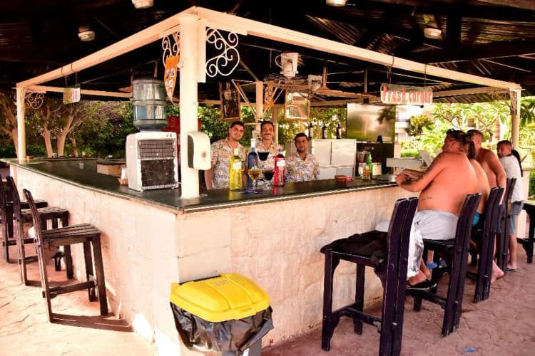 Bar, Dive Inn Resort, Red Sea Riviera