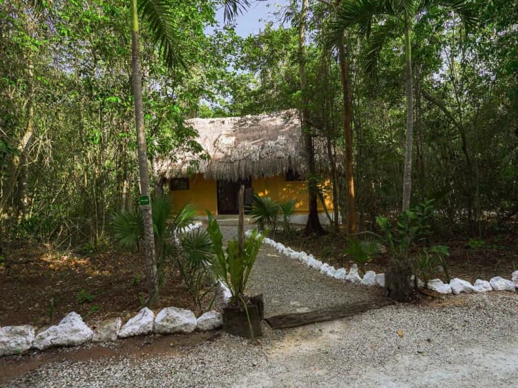 BUNGALOW STANDARD Room, Jolie Jungle, Cancun Area
