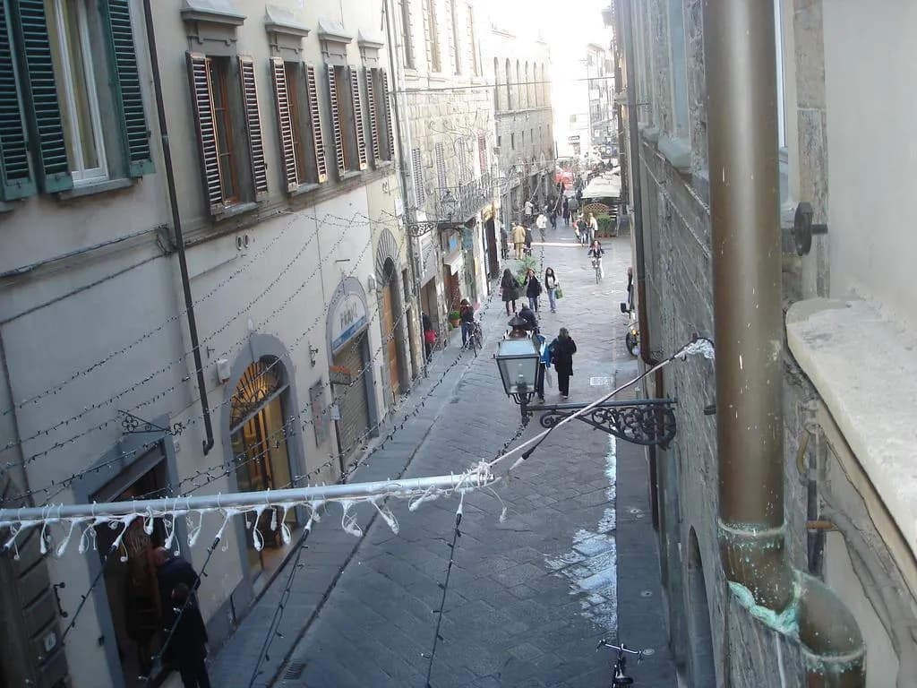 General view, Locanda Orchidea B&B, Florence