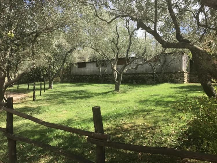 General view, Agriturismo Lu Branu, Olbia
