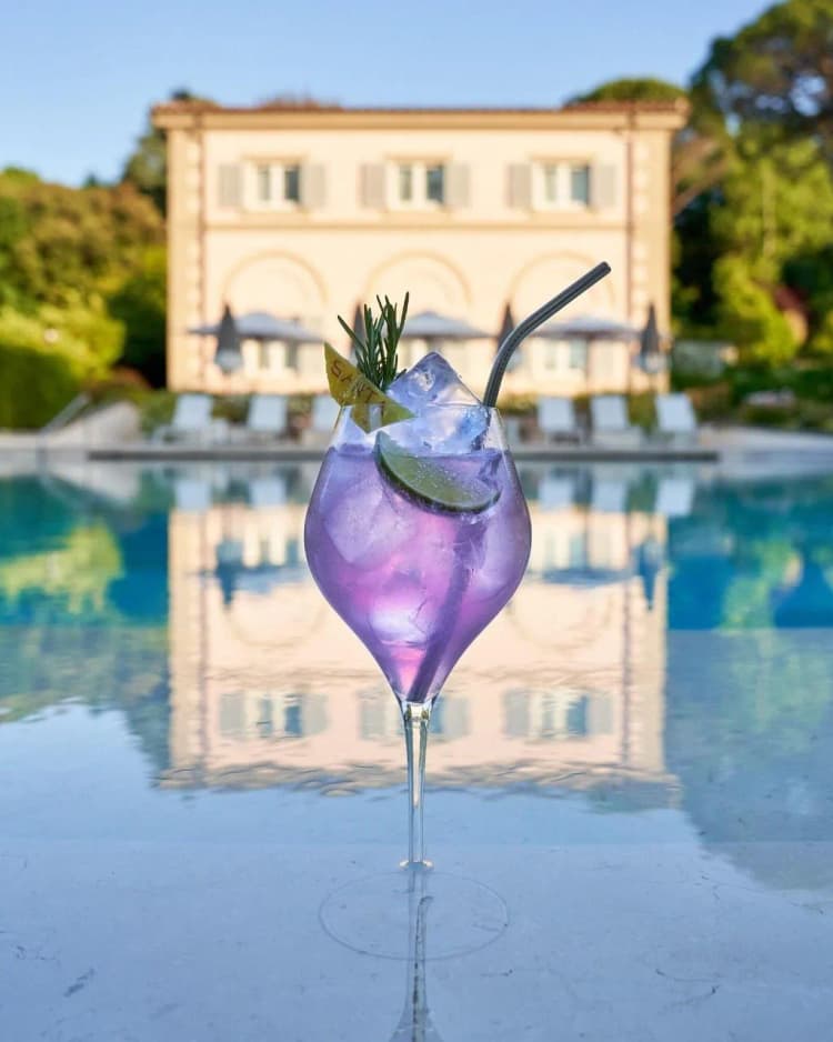 Bar, Villa Cora, Florence