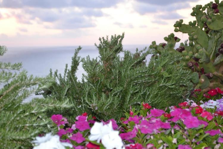 General view, Perla del Golfo Hotel & Resort, Palermo