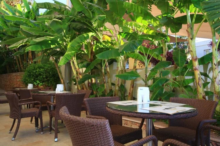 Bar, Mandarin Resort Bodrum, Bodrum