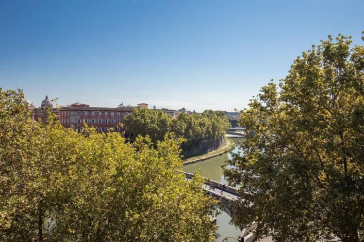 General view, Tree Charme Trilussa, Rome