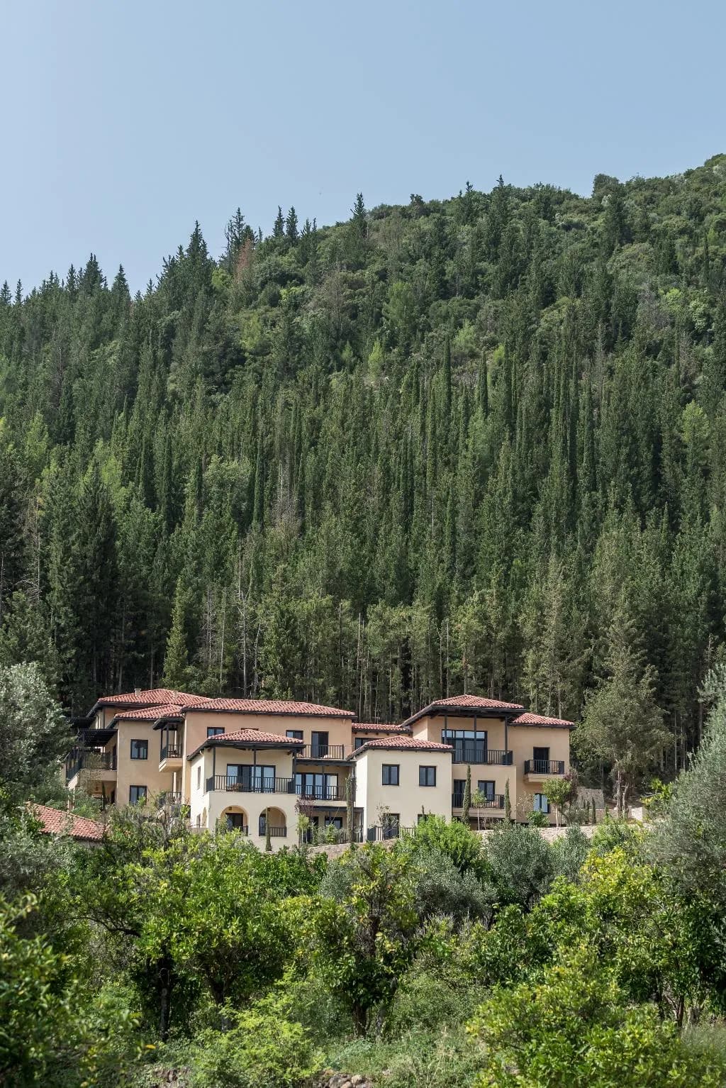 General view, Euphoria Retreat Holistic Wellbeing DestinationSpa, Athens