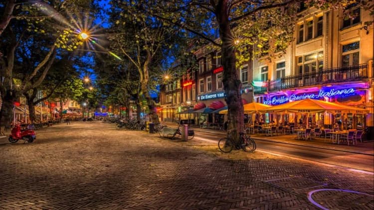 General view, The Bolster, Amsterdam