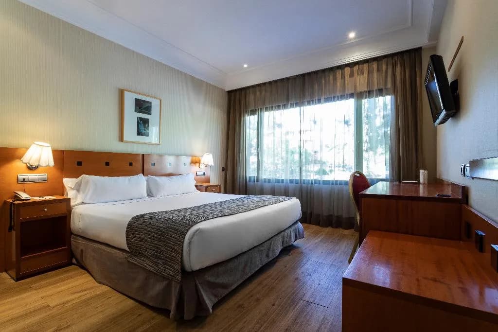 DOUBLE SINGLE USE STANDARD Room, Petit Palace Arturo Soria, Madrid