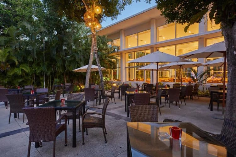 Bar, Bahía Príncipe Escape Sian Kaan, Cancun Area