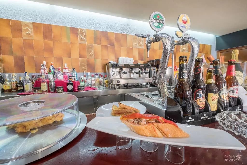 Bar, Hotel Vivar, Madrid