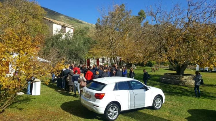 Conferences, Masseria Rossella, Palermo