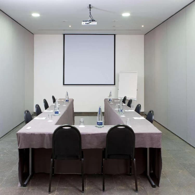 Conferences, NH Barcelona Diagonal Poblenou, Barcelona
