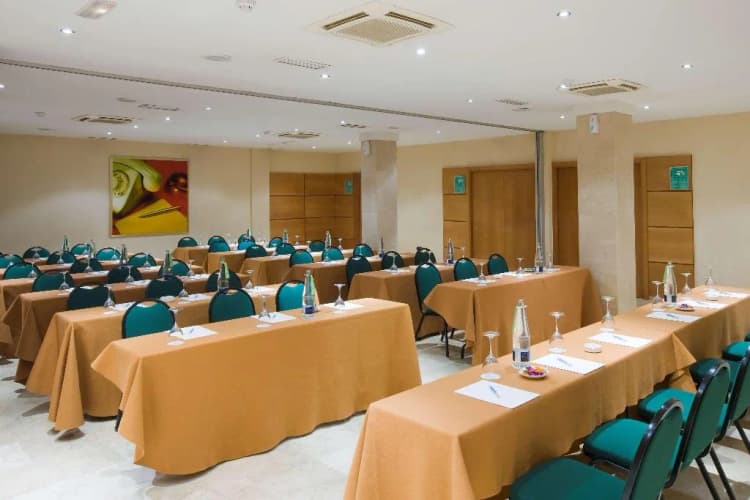 Conferences, NH San Pedro de Alcántara, Costa Del Sol