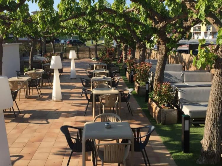 Bar, Solfina, Barcelona
