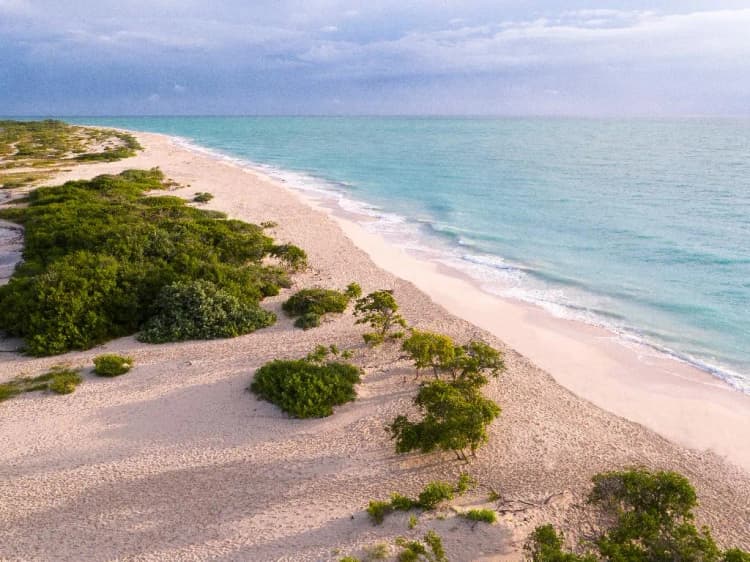 Beach, TRS Coral Hotel – Adults Only All Inclusive, Cancun Area