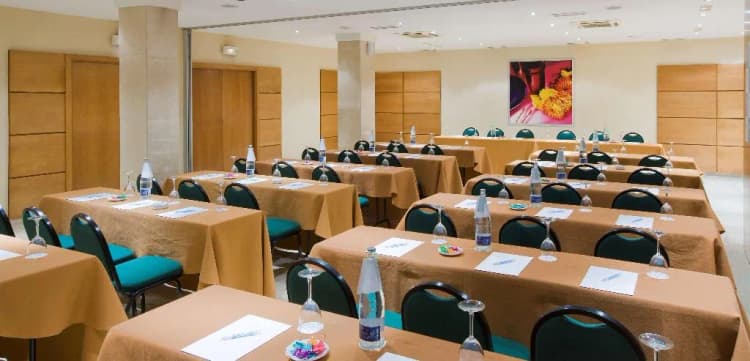 Conferences, NH San Pedro de Alcántara, Costa Del Sol
