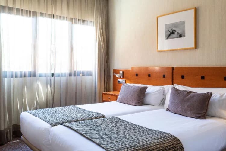 DOUBLE SINGLE USE STANDARD Room, Petit Palace Arturo Soria, Madrid