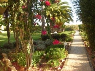 Exterior, Praia da Lota Resort (ex Turoasis), Algarve