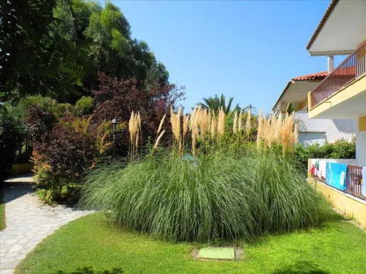 General view, Ioli Apartments, Halkidiki