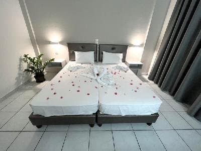 Daisy Hotel, Zante