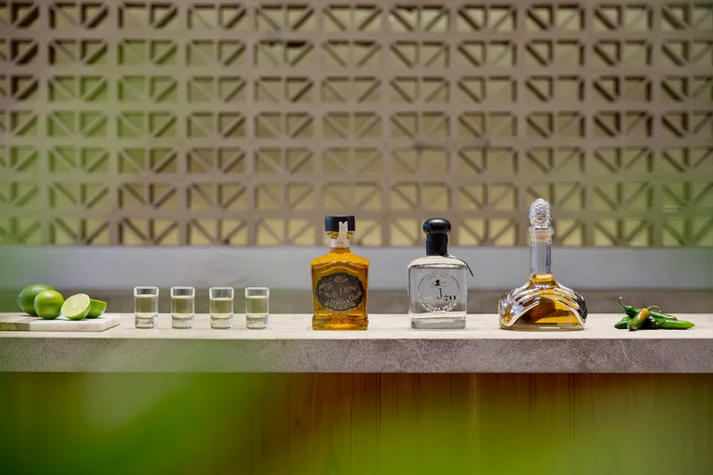 Bar, Finest Playa Mujeres by The Excellence Collection, Cancun Area