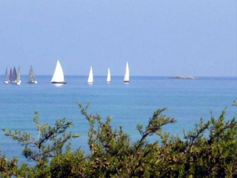Beach, Sandalia, Alghero