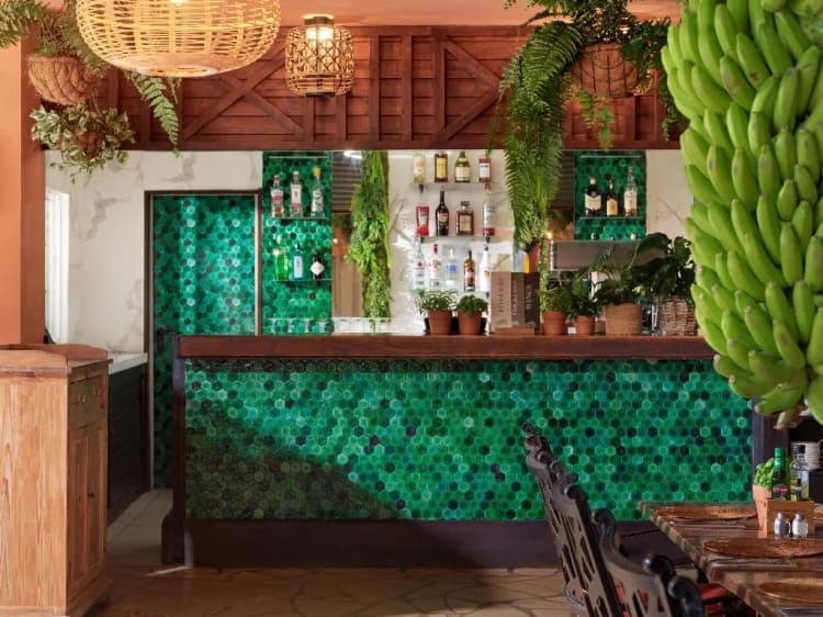 Bar, Green Garden Eco Resort, Tenerife