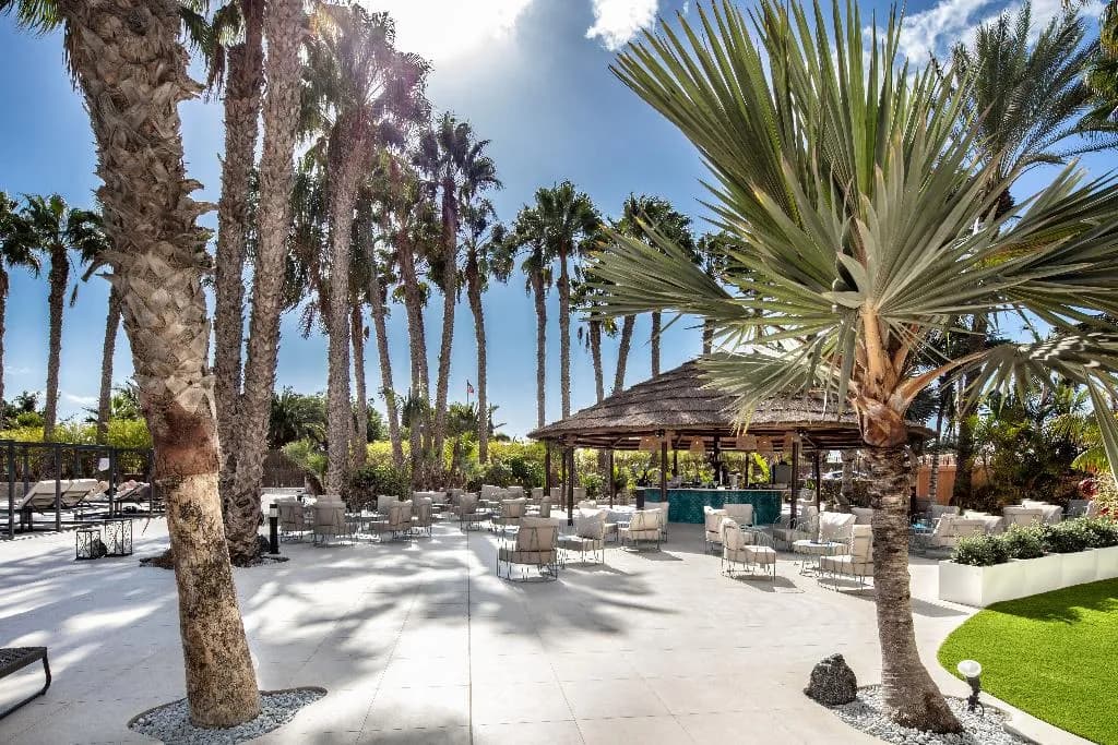 Bar, Tabaiba Princess, Gran Canaria