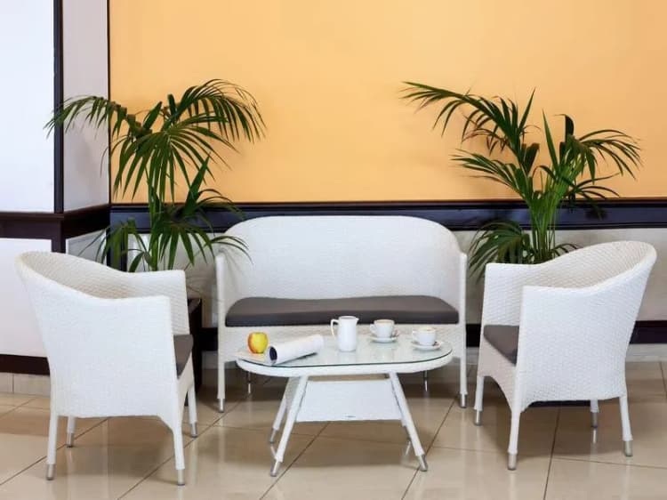 Bar, Dragos del Sur, Tenerife