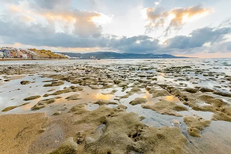 Beach, Crisol Faycan, Gran Canaria