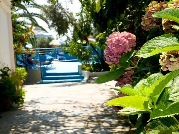 General view, Nikolas Studios, Skiathos