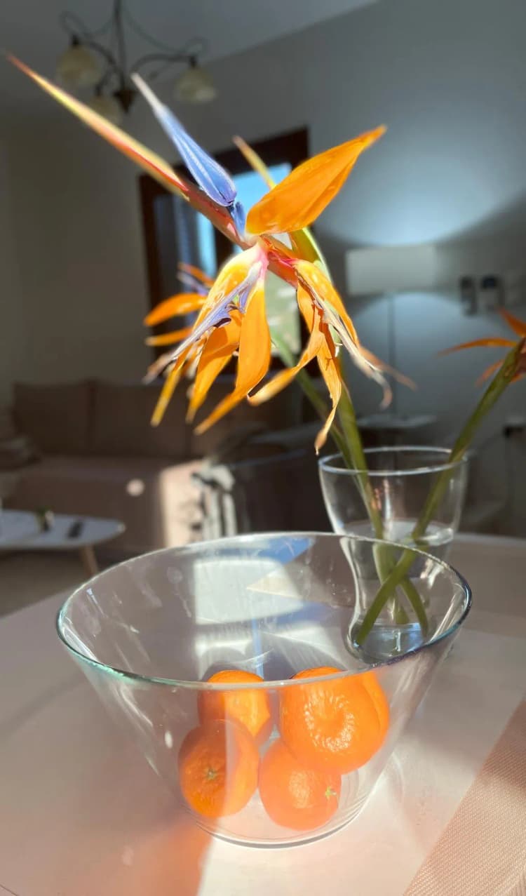 APARTMENT CAPACITY 4 TWO BEDROOMS Room, Pearls of Crete-Holiday Residences, Crete