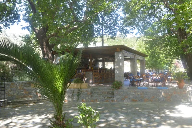 Bar, Zachos, Skiathos
