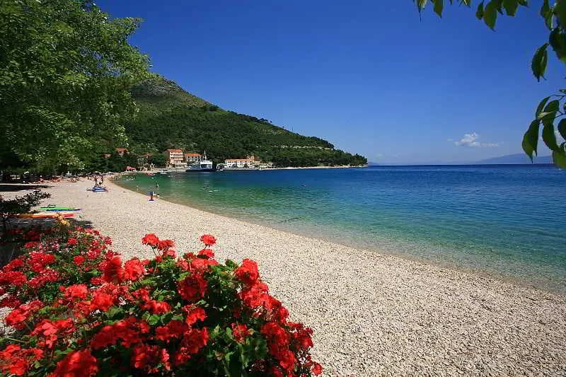 Beach, Quercus, Split