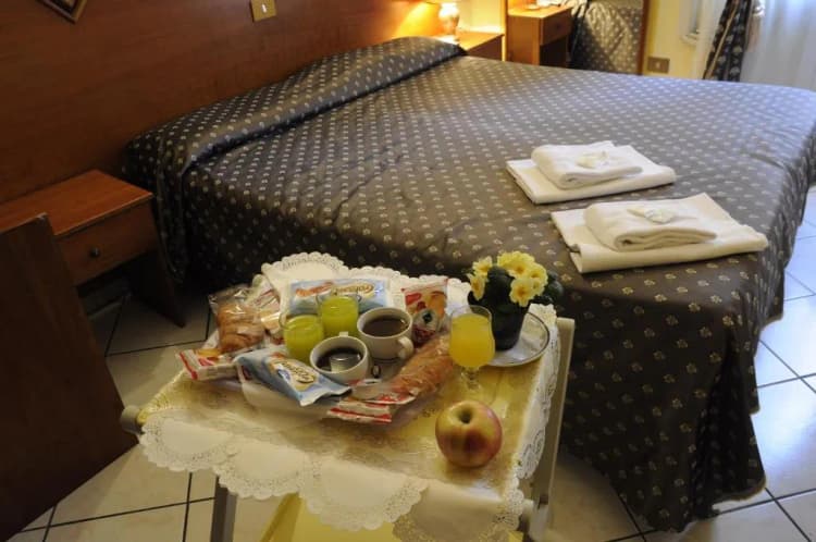DOUBLE STANDARD Room, Hotel Farini, Rome