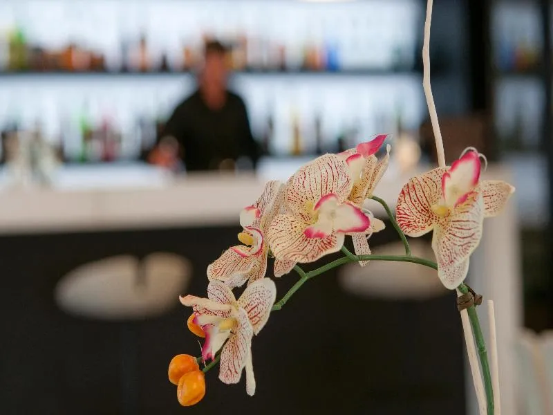 Bar, As Hotel Limbiate Fiera, Milan