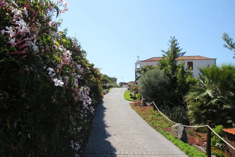 General view, Finca Saroga, Tenerife