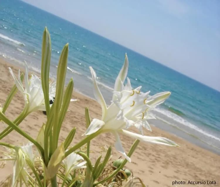 Beach, Relais Casina Miregia, Catania