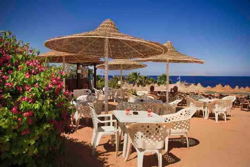 Bar, Xperience St. Georges Homestay, Red Sea Riviera