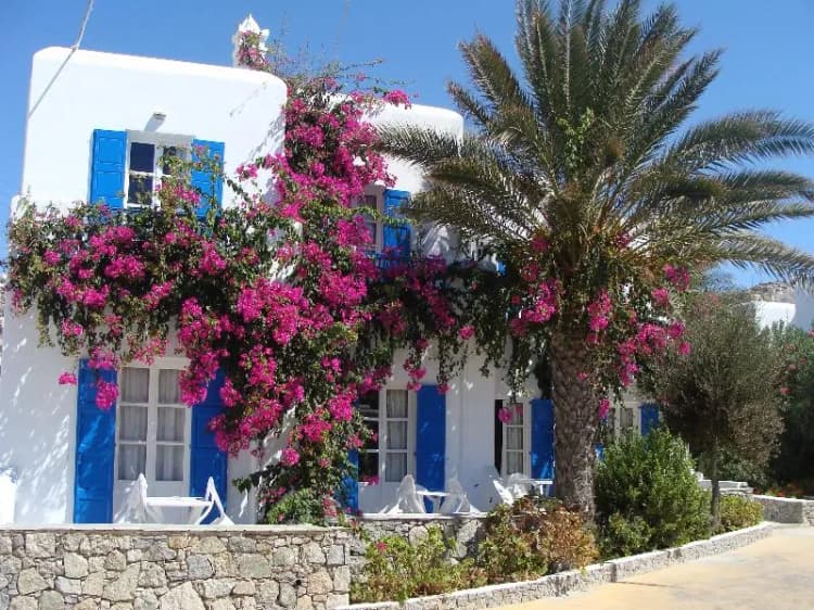General view, Anemos Studios, Mykonos