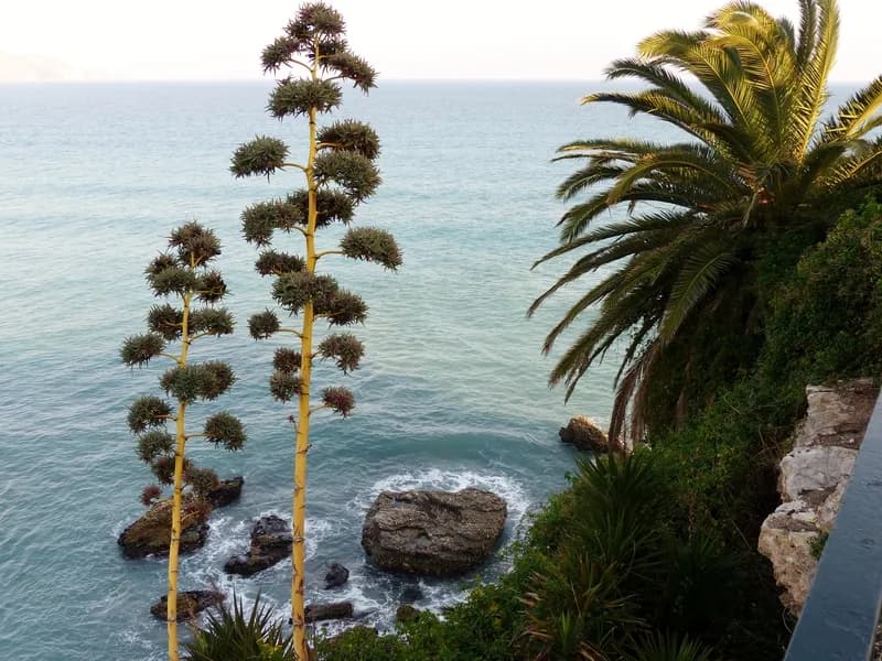 Beach, Hostal Dianes, Costa Del Sol