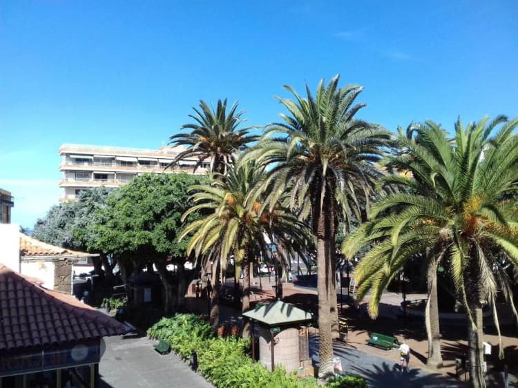 DOUBLE WITH VIEWS Room, Tropical, Tenerife
