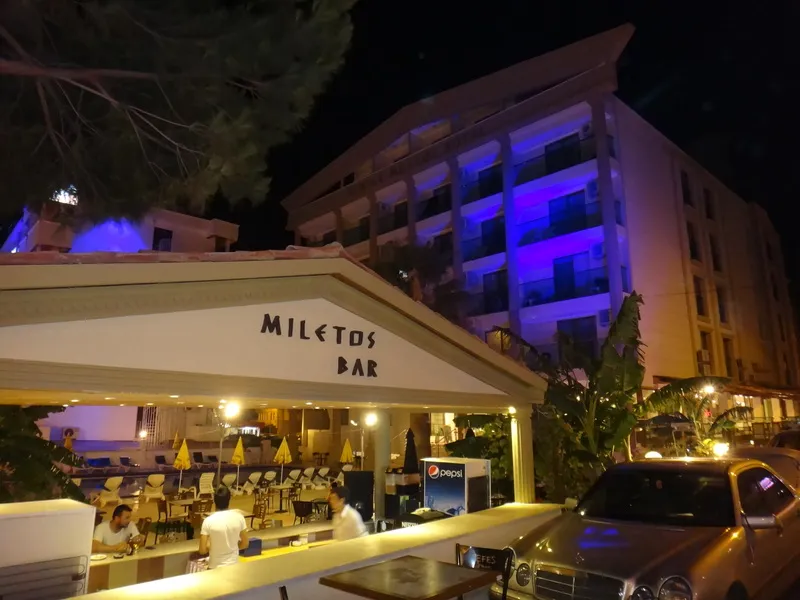 Bar, Temple Miletos Hotel Didyma-Didim, Bodrum
